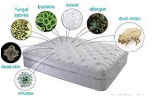 How To Clean Your Mattress Sapulpa Laundry